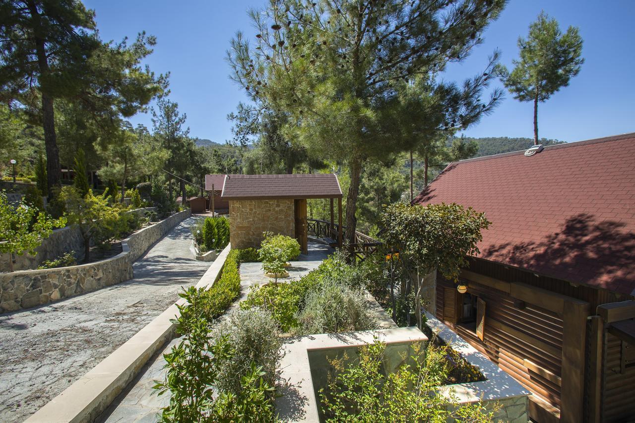 Ricky Chalet Near Troodos Spilia Exterior photo