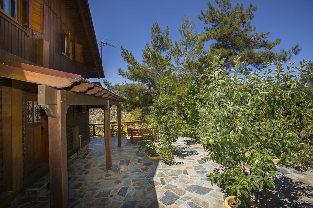 Ricky Chalet Near Troodos Spilia Exterior photo